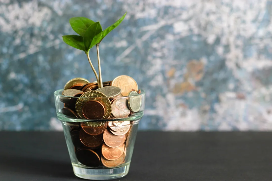 Grow your rewards by referring friends to Lachlan Solar